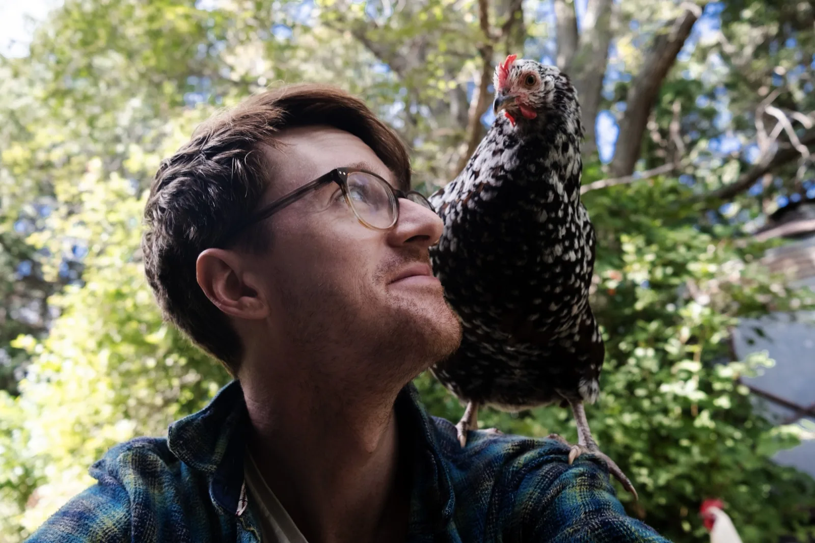 Benjamin, the maker behind Picker's Folly, holding a chicken